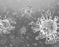 कोरोना को लेकर चीन पर शक: दुनिया के बड़े वैज्ञानिकों ने कहा- 'लैब से वायरस लीक' थ्योरी को गंभीरता से लें