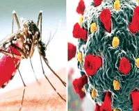 कोविड के दौर में डेंगू भी दे रहा दस्तक, डेंगू के प्रारंभिक लक्षण कोरोना के जैसे होने से पैदा हो रही उलझन