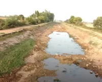 जर्जर नहरों के सीपेज के पानी से फसल हो रही बर्बाद