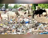 जोधपुर में स्वच्छ भारत अभियान की उड़ रही धज्जियां   