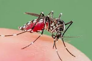 कोरोना से ज्यादा खतरनाक हुआ डेंगू का डंक