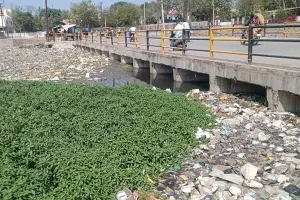  नाले में जमा गंदगी बता रही शहर की सफाई की तस्वीर