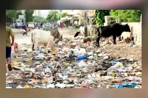 जोधपुर में स्वच्छ भारत अभियान की उड़ रही धज्जियां   