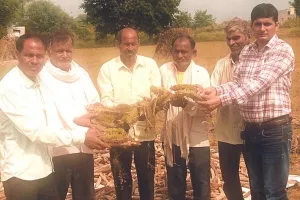 कृषि अधिकारियों ने फसलों में हुए नुकसान का लिया जायजा
