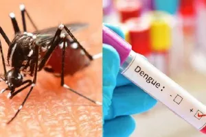 डेंगू पसार रहा पैर, मरीजों में घट रही प्लेटलेट्स 